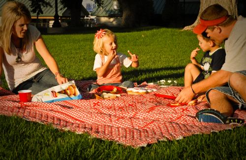 Family picnicking at the park in Box Elder County 