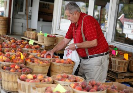 man picking fruit at fruit stand in box elder county
