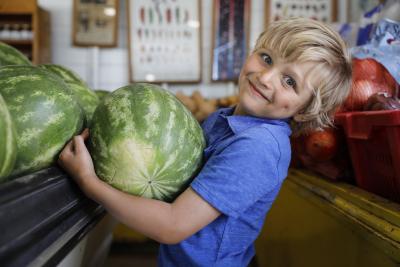 Little boy picking out watermelon at the fruit stand on Highway 89 in Box Elder County