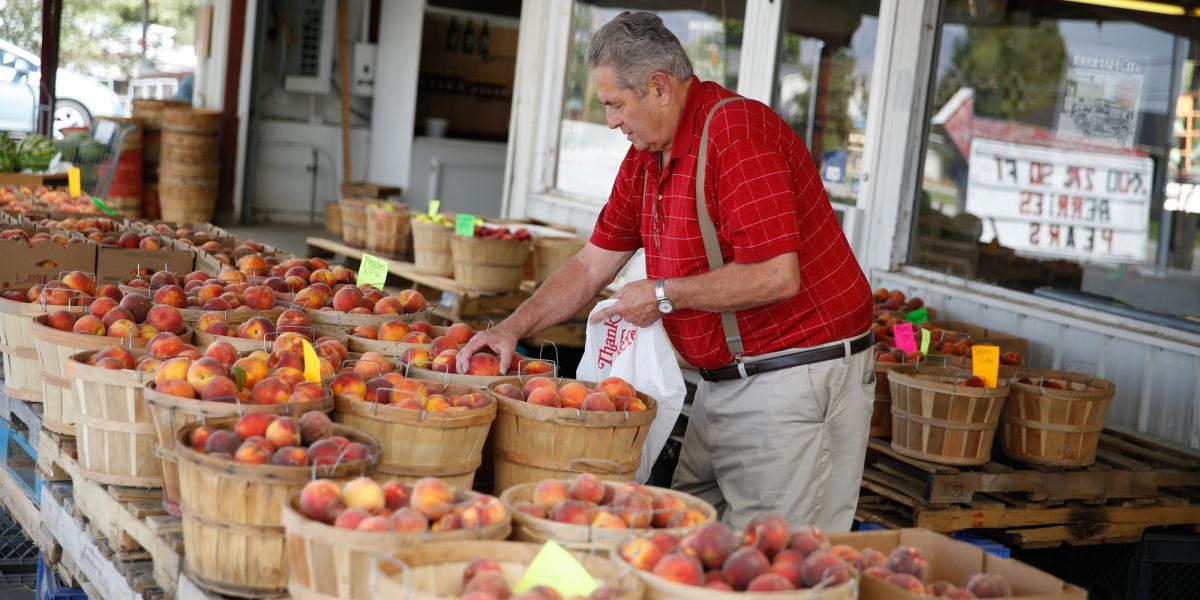 man picking fruit at fruit stand in box elder county