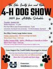 Box Elder County Fair 4H Pet and Dog Show